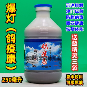 爆灯鸽疫康250ml鸽药赛信鸽子用品中草汤药抗腺病毒肠道沙门氏菌