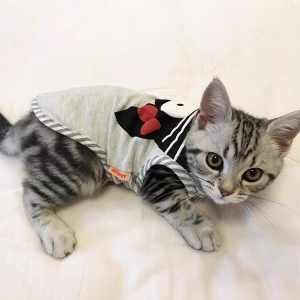 小猫的衣服公主