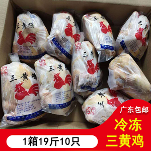 广东包邮19斤10只新鲜冷冻鸡三黄鸡干水养鸡白条鸡西装鸡肉童子鸡