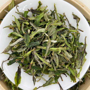 2022明前头采政和白茶寿眉散茶鱼叶寿眉白茶花香春寿眉500g