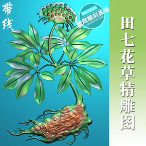 花草精雕图植物精雕图田七浮雕图雕刻图hc-007田七草药中药精雕图