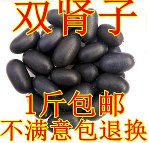 双肾子野生正品