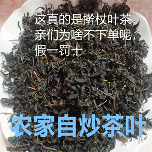 威海乳山野生茶擀杖叶绿茶送礼春茶浓香型50g包邮植物擀杖叶植株