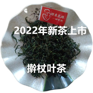 威海乳山野生茶擀杖叶绿茶送礼春茶浓香型50g包邮植物擀杖叶植株