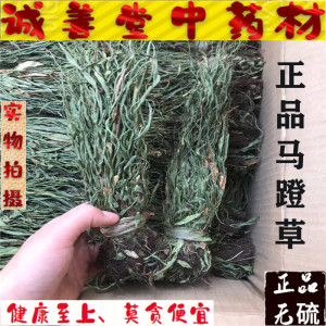 马蹬草中药材 新货 250g克包邮 正品过桥草 还阳草 支持药检 散装
