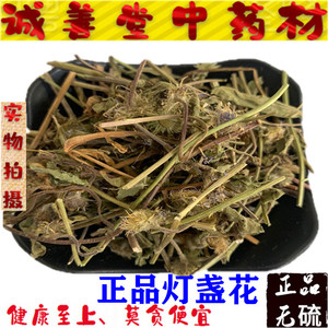 云南灯盏花 500g包邮 新货 正品灯盏细辛 灯盏草 灯盏花茶 中药材