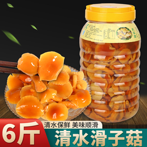 新鲜滑菇3000g清水滑菇蘑菇香菇类食用菌野山菌滑子菇珍珠菌瓶装
