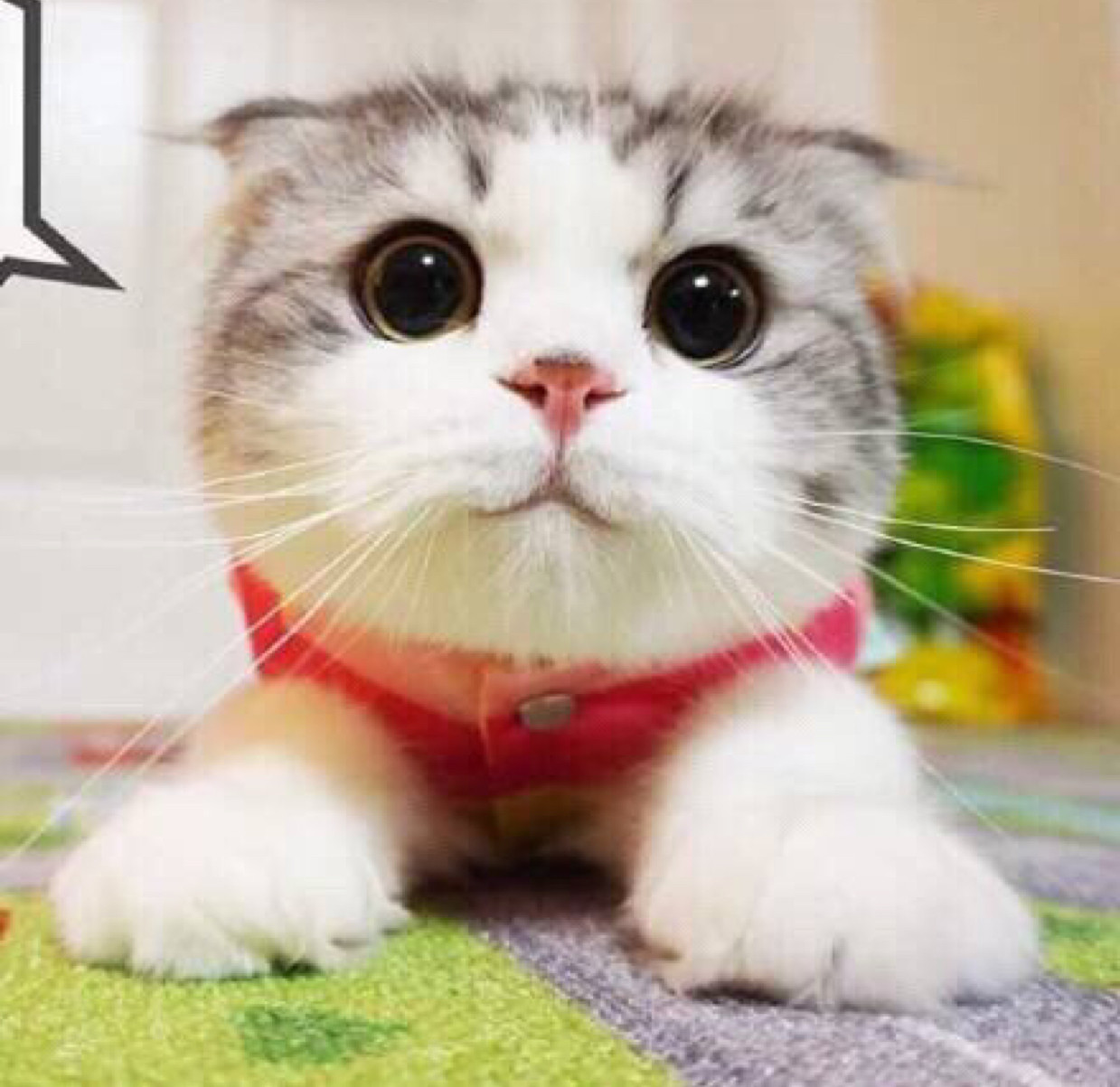 淘宝天猫店铺销量数据查询预估