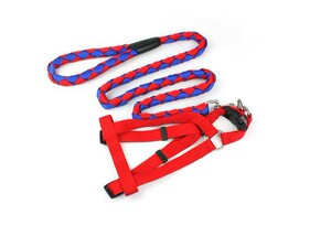 狗狗牵引绳狗链子项圈泰迪金毛小型中大型编制带牵狗绳子宠物用品