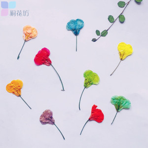 油菜花 押花压花书签相框平面花香薰蜡烛书签diy儿童手工植物标本