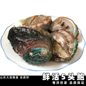 5头大鲍鱼鲜活山东大连鲍鱼大活鲍鱼贝类水产五头500g