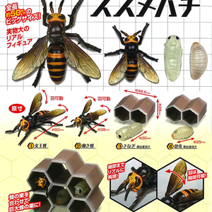 动物模型杀人蜂黄蜂马蜂蜂王野生昆虫儿童认知教具玩具mamabeibei
