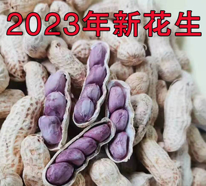 2023年新正宗福建龙岩连城四粒红衣咸水煮晒干紫衣花生湿烤五香脆