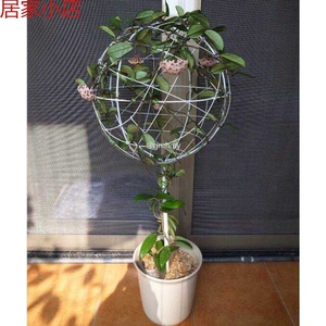 【球兰花架室内】球兰花架室内品牌,价格 - 阿里巴巴