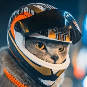 猫猫头盔抖音同款公仔玩偶猫用机车摩托车小熊搞笑宠物头盔