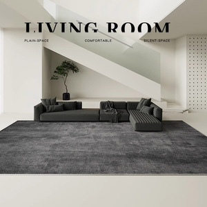 地毯客厅灰色高级轻奢免洗可擦家用沙发2024新款黑色高端商用地垫