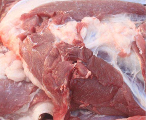 土猪后腿肉 猪后鞧肉24元一斤6斤顺丰包邮可混搭  混搭联系客服