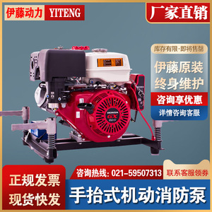 进口手抬式机动消防泵高扬程高压自吸水泵伊藤动力YT30GB/YT30PFE