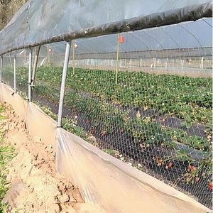 新款草莓大棚防鸟网葡萄天沟网西瓜棚口拦鸟樱桃棚农用果园防护网