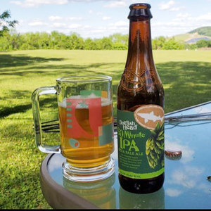 美国进口精酿啤酒dogfishhead角头鲨60分钟ipa啤酒355ml 6瓶包邮