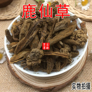 云南野生中药材鹿仙草 不上莲 通天蜡烛 石上莲 山菠萝 500g包邮
