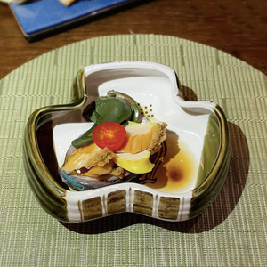 日本烤肉店怀石料理餐具 创意陶瓷刺身碗 水果沙拉碗多用碗异形钵