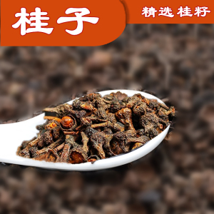 桂籽肉桂子 牛肉汤小桂子粉 肉桂桂花桂中中药材调料香料丹妹量发