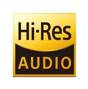 定制索尼hires小金标,a105 a55 zx300 wm1a wm1z小金标