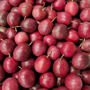 只发特级果】百香果5斤大果包邮一级新鲜水果现货广西红皮鸡蛋果