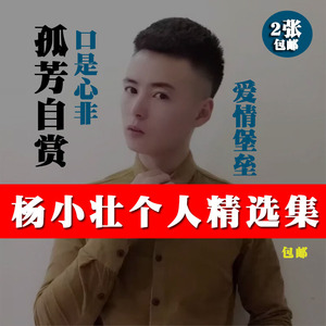 抖网红歌曲孤芳自赏杨小壮汽车用车载cd无损音质光盘歌碟口是心非