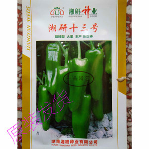 湘研辣椒种子