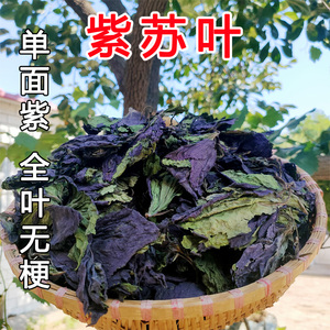 单面紫紫苏叶500g克紫苏中药材去腥烧鱼虾蟹香料干货泡茶泡脚泡澡