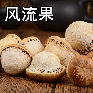 西藏风流果龟头子500g特级野生正品男性泡酒料增印度大益强肾子果