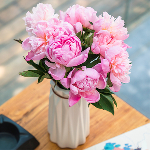 重瓣芍药鲜切花鲜花云南基地直发斗南花市水养插花四川真花粉牡丹
