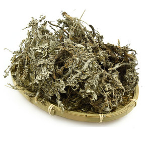 中草药材白头翁