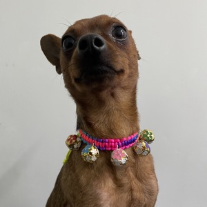 小鹿犬狗项圈挂件脖子狗项圈宠物猫铃铛泰迪亿时代家居用品专营店