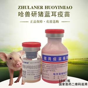 哈兽研猪蓝耳病疫苗猪疫苗猪繁殖与呼吸综合征病毒ch-1株兽药兽用