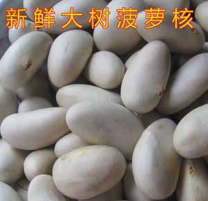 剥 果核仁籽2件籽现小吃包邮种子菠萝蜜新鲜菠萝蜜大树菠萝蜜核