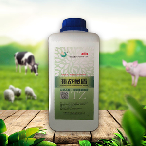 过氧乙酸消毒液金盾