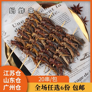 蚂蚱串熟20支/包蝗虫烧烤串油炸商用冷冻半成品油炸食材网红小吃