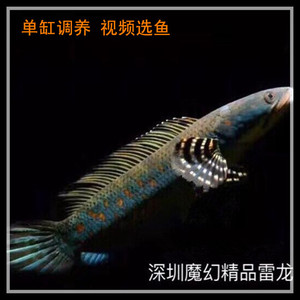 快手手机微拍视频高清图片