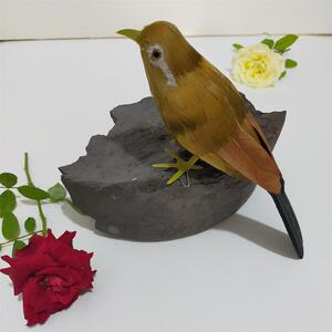 仿真羽毛画眉鸟园林家居摆件装饰寿带鸟泡沫动物模型影视摄影道具
