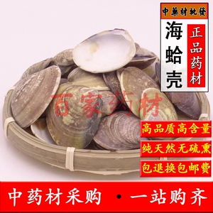 中药文蛤