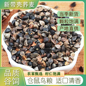 新带壳荞麦米5斤 农家自产荞麦仁甜荞麦籽粒 三角麦杂粮粗粮鸟食