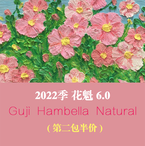 第二包半价埃塞俄比亚古吉罕贝拉花魁60精品手冲咖啡豆227g