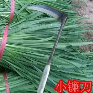 韭菜园艺刀专用小镰刀铁制割刀子除草园艺月牙形家用迷你工具