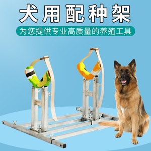 犬交配架法斗泰迪柯基配狗支架柴犬配狗架子固定狗狗配种架1人付款