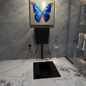 黑色蹲便器家用防臭蹲坑式冲水箱套装陶瓷便盆带存水弯卫生间蹲厕