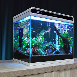 森森超白玻璃小鱼缸客厅小型桌面家用水族箱懒人生态免换水金鱼缸