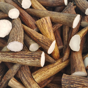 鹿角尖500克吉林双阳梅花鹿乡免费打粉鹿角实心入药雕刻把件原料